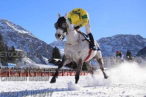 Details Kategorie: Arosa 29.01.2017